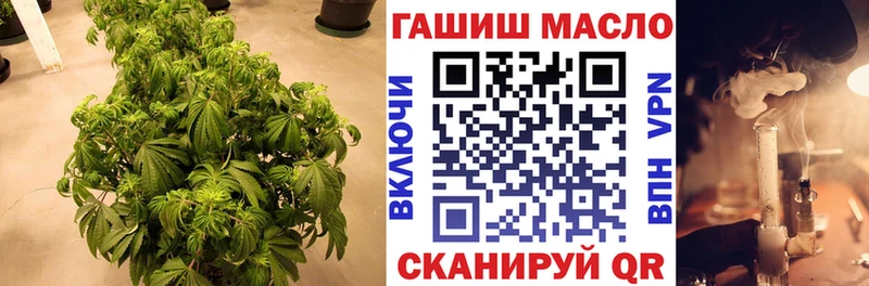 где можно купить   Ессентуки  ТГК THC oil 