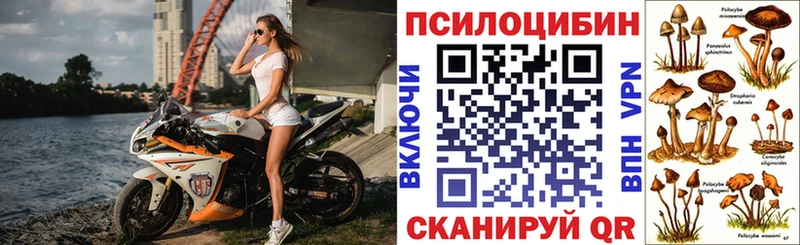 даркнет сайт  Ессентуки  blacksprut сайт  Псилоцибиновые грибы Cubensis 